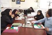 برگزاری کمیته فنی شناسایی مشکلات سلامت سالمندان در معاونت بهداشت