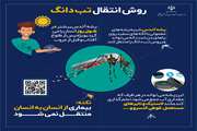 پوستر آموزشی تب دانگی