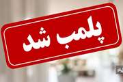 یک واحد غیرمجاز موادغذایی پلمب شد