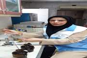 از ابتدای سال جاری تا کنون 31 هزار بازدید بهداشتی از اصناف و اماکن عمومی شهرستان دزفول بعمل آمده است.