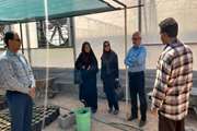 بازدید مشترک کارشناسان واحد مهندسی بهداشت حرفه ای مرکزبهداشت دزفول و اداره جهاد کشاورزی از گلخانه های شهرک صنعتی  