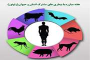 هفته اطلاع‌رسانی بیماری‌های زئونوز(16لغایت22تیرماه)؛ تاکید بر آگاهی، پیشگیری و سلامت جامعه