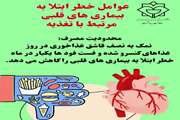 عوامل خطر ابتلا به بیماری قلبی مرتبط با تغذیه