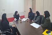 سومین جلسه هماهنگی کارگروه  توسعه سامانه باروری سالم برگزار گردید