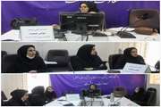 چهارمین نشست فنی برنامه جوانی جمعیت در سال جاری برگزار گردید