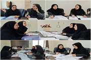 بررسی استانداردهای حوزه ۸ اعتباربخشی رشته پزشکی عمومی در دانشکده پزشکی دانشگاه علوم پزشکی دزفول