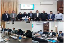 کمیته‌های تدوین نقشه راه سمن‌ها و بازنگری دستورالعمل خیریه‌های بیمارستانی تشکیل شد