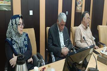 فریدون جعفریان فر