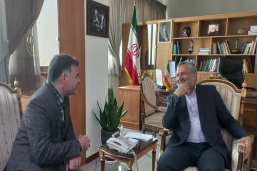 روابط عمومی دانشگاه علوم پزشکی دزفول اظهار داشت: رئیس دانشگاه علوم پزشکی دزفول یا دکتر سید صولت مرتضوی معاون اجرایی رئیس جمهور د